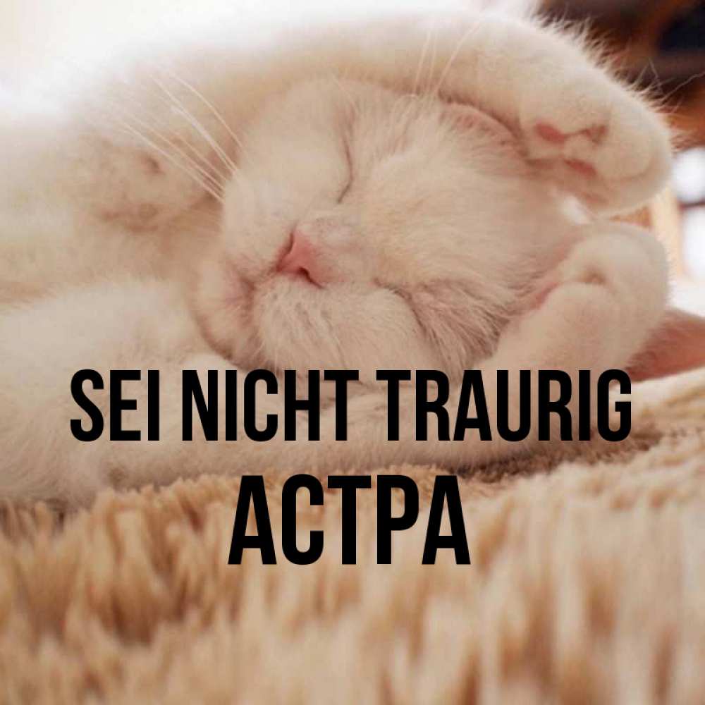 Открытка на каждый день с именем, Астра Sei nicht traurig Котенок спит Прикольная открытка с пожеланием онлайн скачать бесплатно 