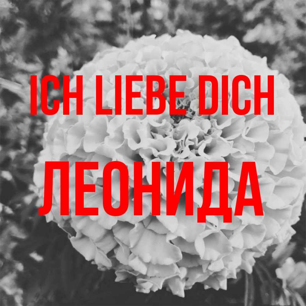 Открытка на каждый день с именем, Леонида Ich liebe dich подпись Прикольная открытка с пожеланием онлайн скачать бесплатно 