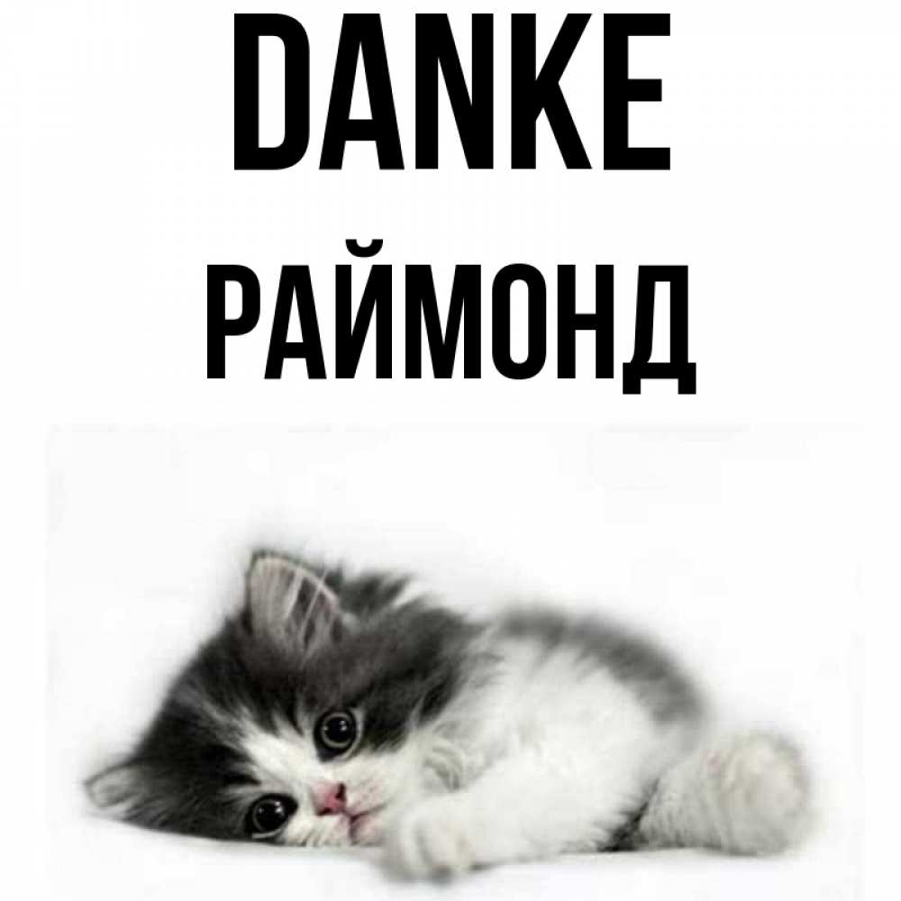 Открытка на каждый день с именем, Раймонд Danke черный и белый кот Прикольная открытка с пожеланием онлайн скачать бесплатно 