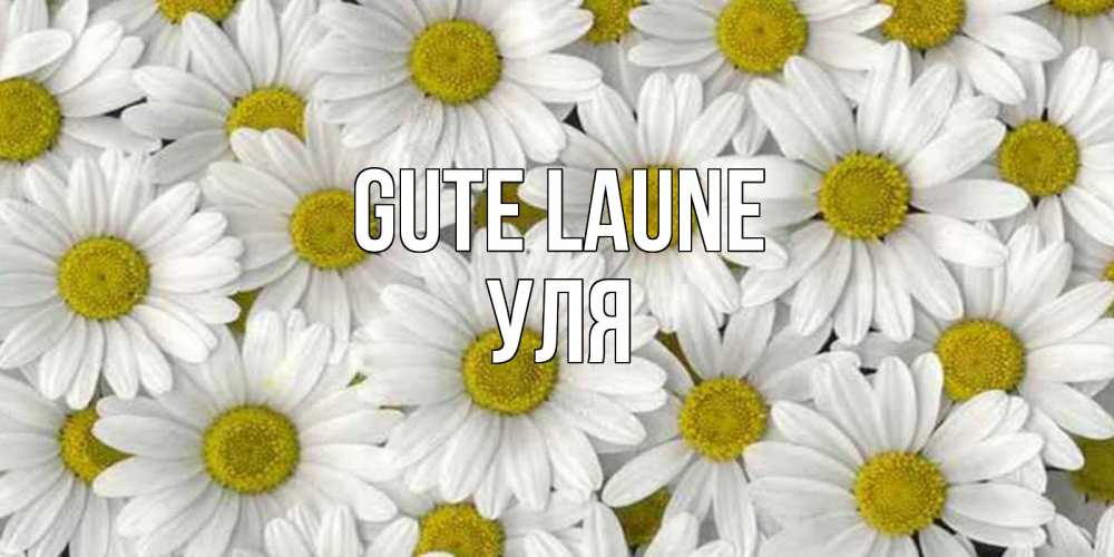 Открытка на каждый день с именем, Уля Gute Laune поляна ромашек Прикольная открытка с пожеланием онлайн скачать бесплатно 