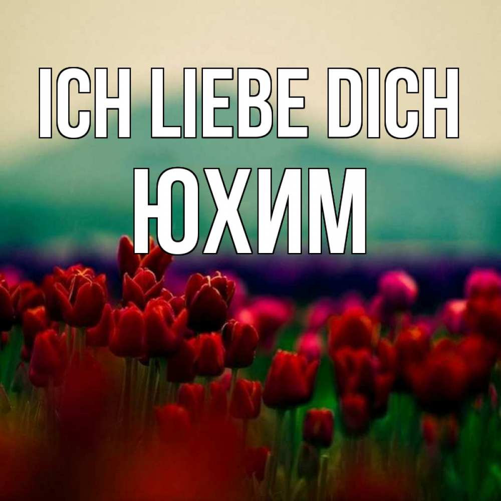 Открытка на каждый день с именем, Юхим Ich liebe dich тюльпаны 4 Прикольная открытка с пожеланием онлайн скачать бесплатно 