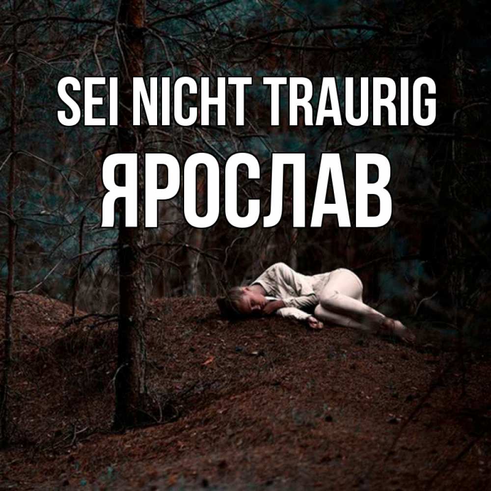 Открытка на каждый день с именем, Ярослав Sei nicht traurig лес Прикольная открытка с пожеланием онлайн скачать бесплатно 
