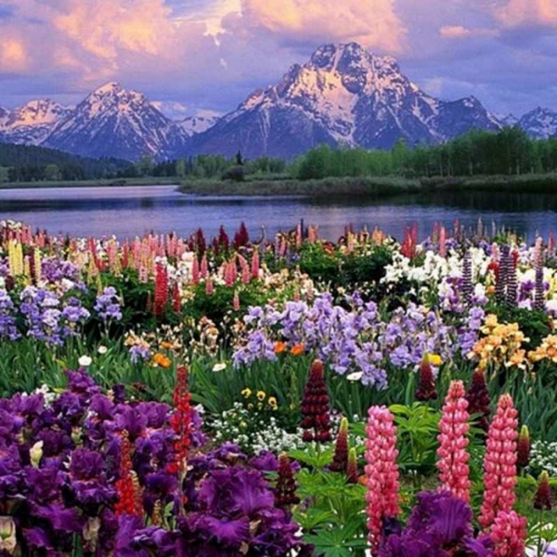 Открытка горные цветы  международный женский день  Am 8. März 