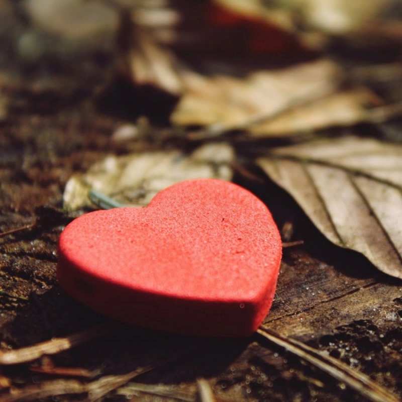 Открытка сердце 4 листья деревье 4 Ich liebe dich 