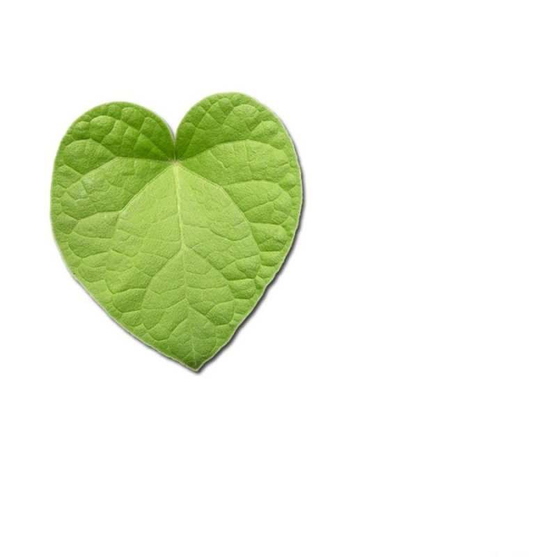 Открытка зеленый лист  тебе  Ich liebe dich 