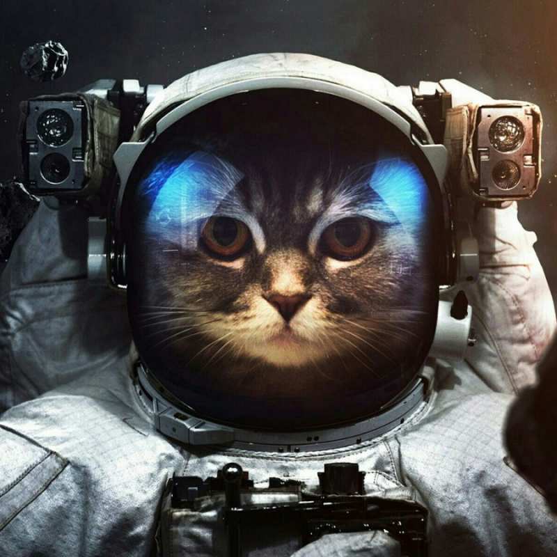 Открытка кот космонавт  желает удачно добраться  Gute Reise 