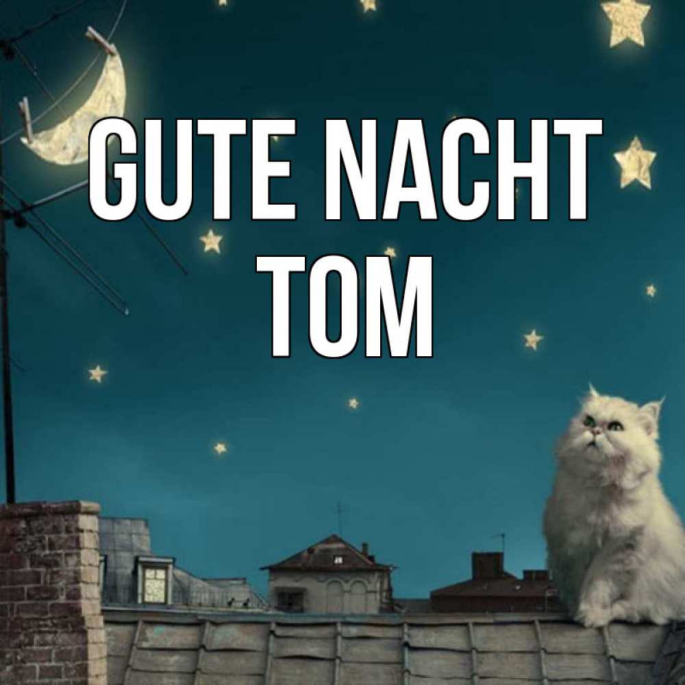 Открытка на каждый день с именем, Tom Gute Nacht белый кот сидит на крыше Прикольная открытка с пожеланием онлайн скачать бесплатно 