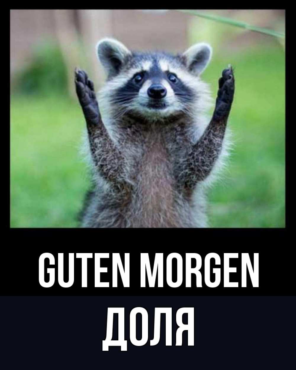 Открытка на каждый день с именем, Доля Guten Morgen хорошее настроение утречком Прикольная открытка с пожеланием онлайн скачать бесплатно 