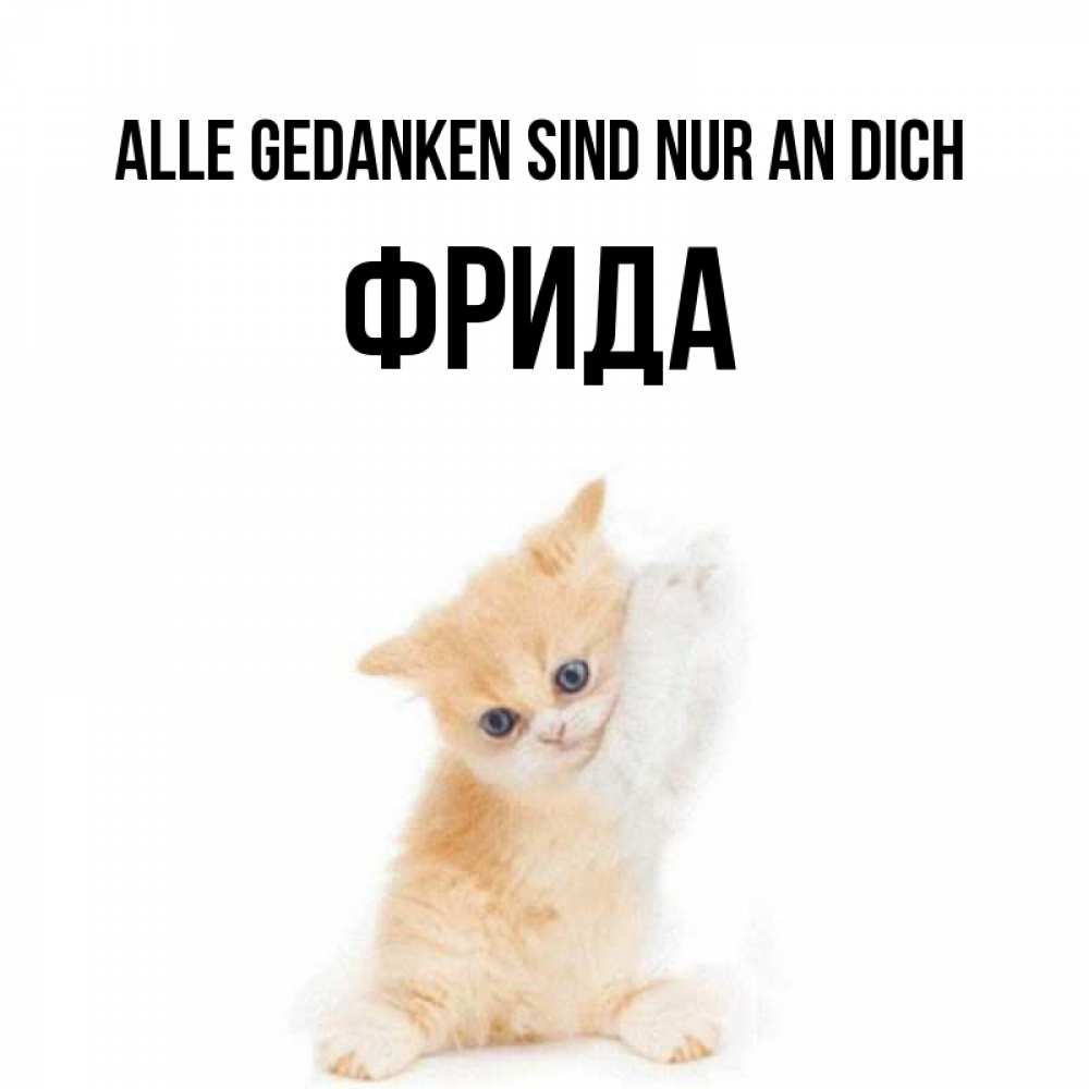 Открытка на каждый день с именем, Фрида Alle Gedanken sind nur an dich зверушки и милота Прикольная открытка с пожеланием онлайн скачать бесплатно 