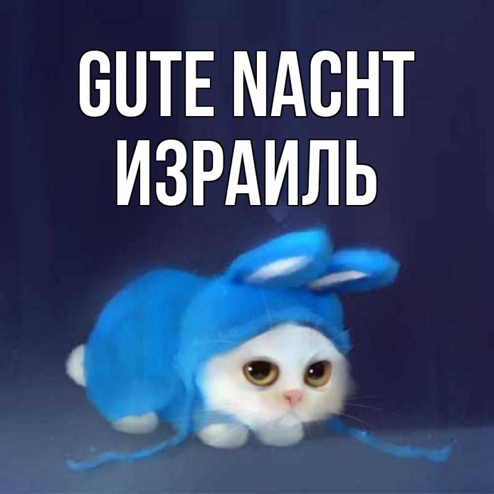 Открытка на каждый день с именем, Израиль Gute Nacht кот в голубом костюме кролика с ушками Прикольная открытка с пожеланием онлайн скачать бесплатно 