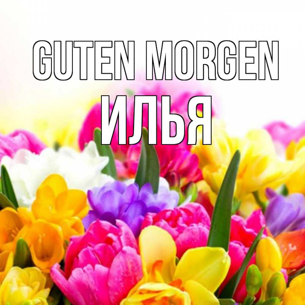 Открытка на каждый день с именем, Илья Guten Morgen создать открытку со свое подписью Прикольная открытка с пожеланием онлайн скачать бесплатно 