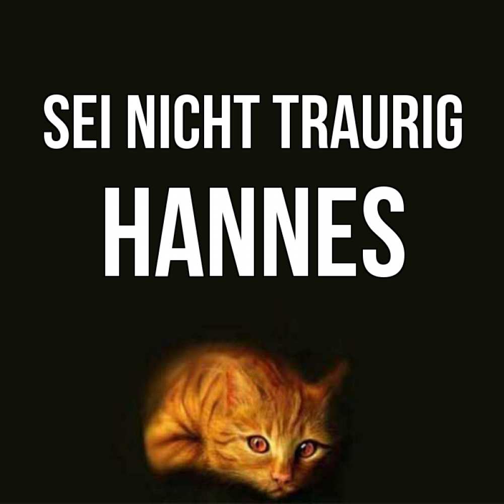 Открытка на каждый день с именем, Hannes Sei nicht traurig лежащий кот в темноте Прикольная открытка с пожеланием онлайн скачать бесплатно 