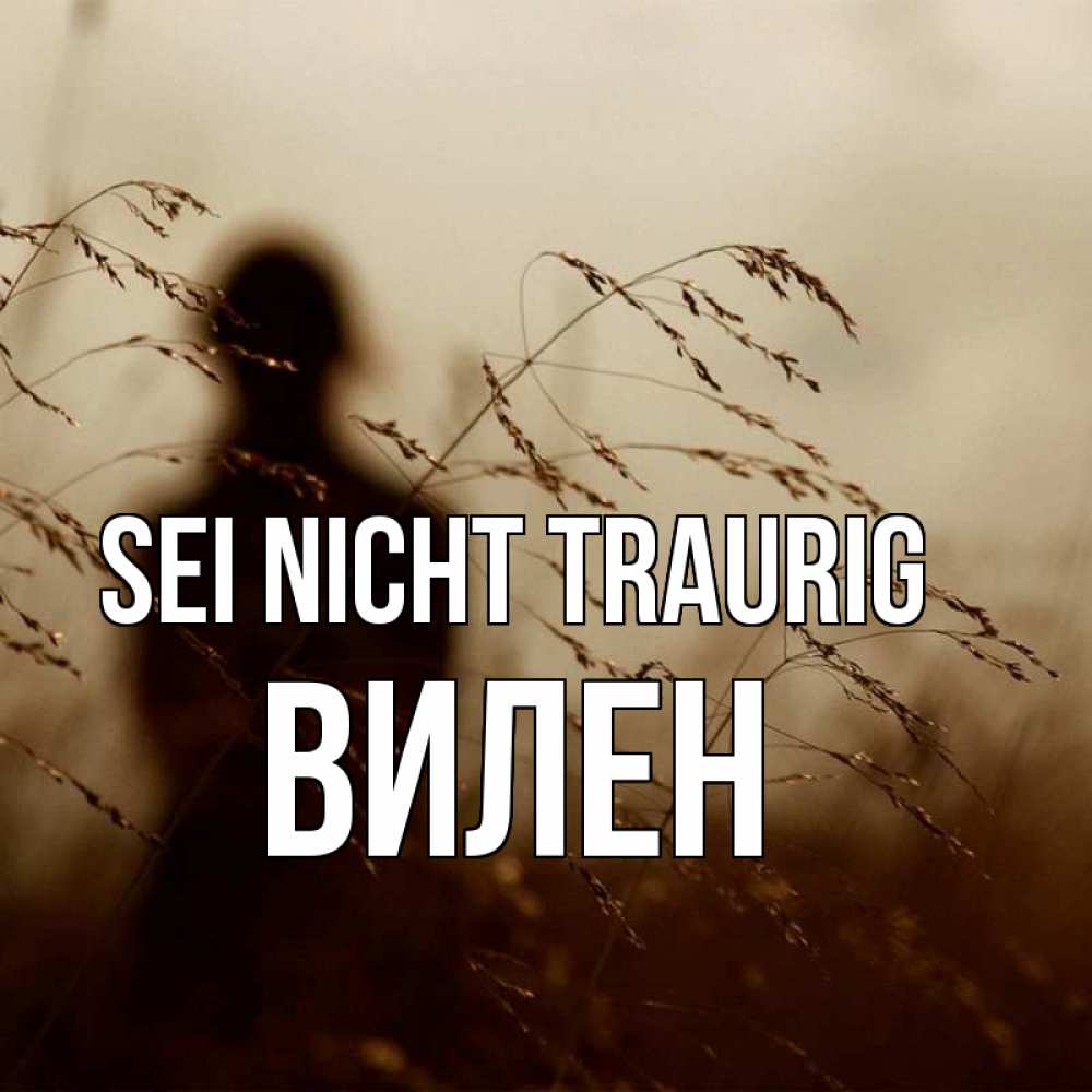 Открытка на каждый день с именем, Вилен Sei nicht traurig грусть Прикольная открытка с пожеланием онлайн скачать бесплатно 