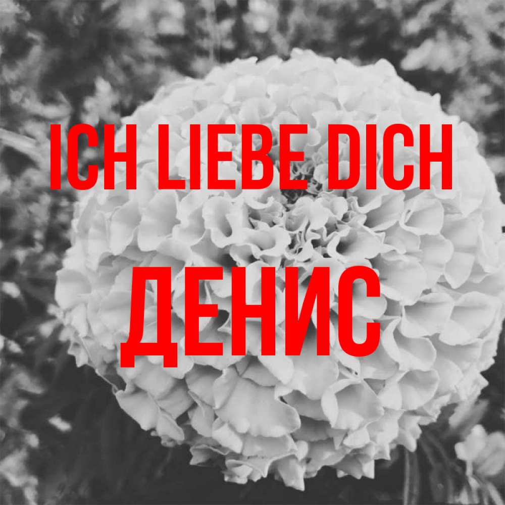 Открытка на каждый день с именем, Денис Ich liebe dich подпись Прикольная открытка с пожеланием онлайн скачать бесплатно 
