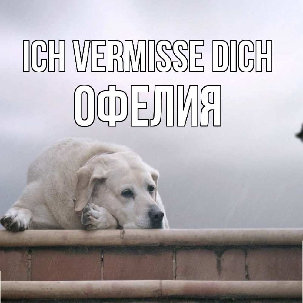 Открытка на каждый день с именем, Офелия Ich vermisse dich ждет Прикольная открытка с пожеланием онлайн скачать бесплатно 