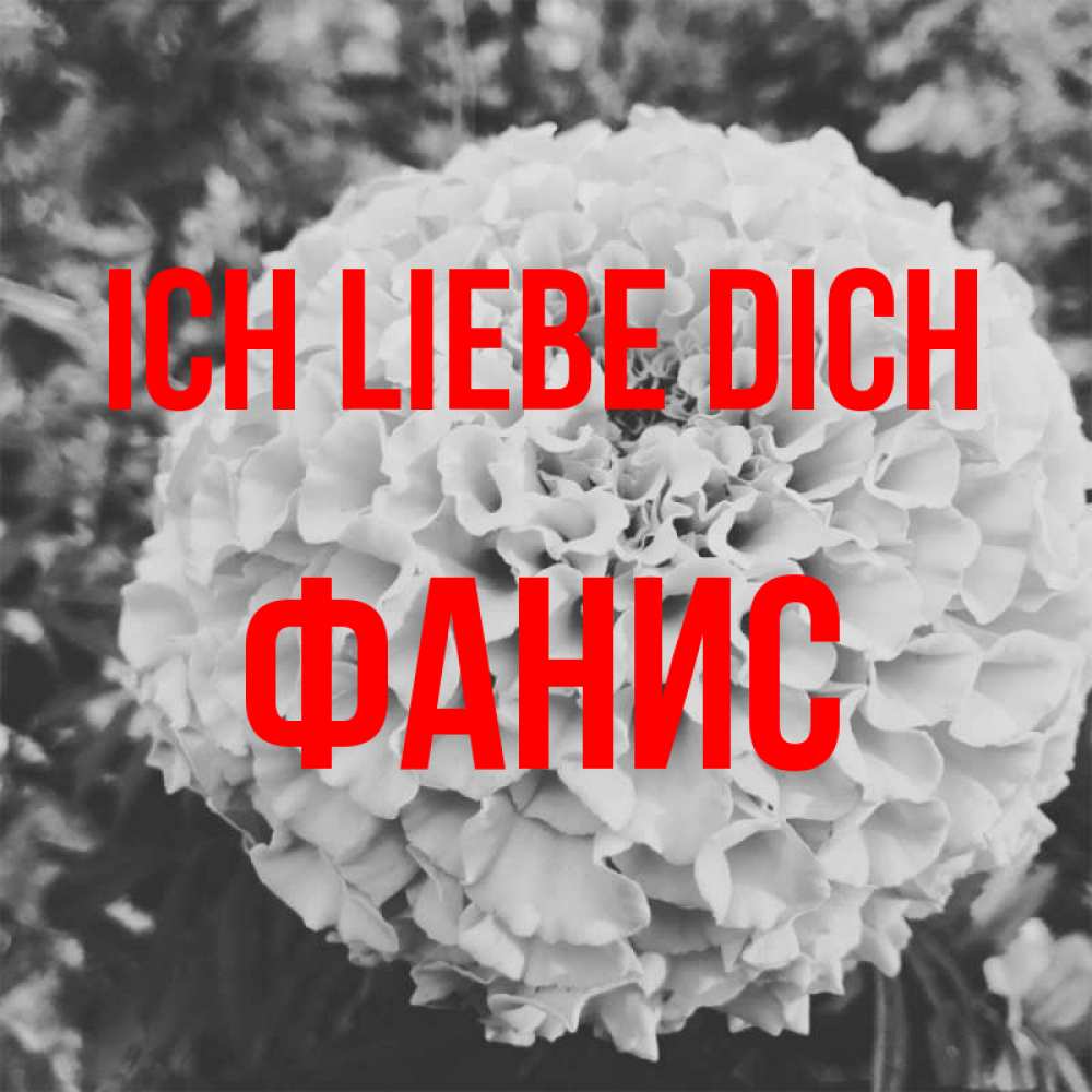 Открытка на каждый день с именем, Фанис Ich liebe dich подпись Прикольная открытка с пожеланием онлайн скачать бесплатно 