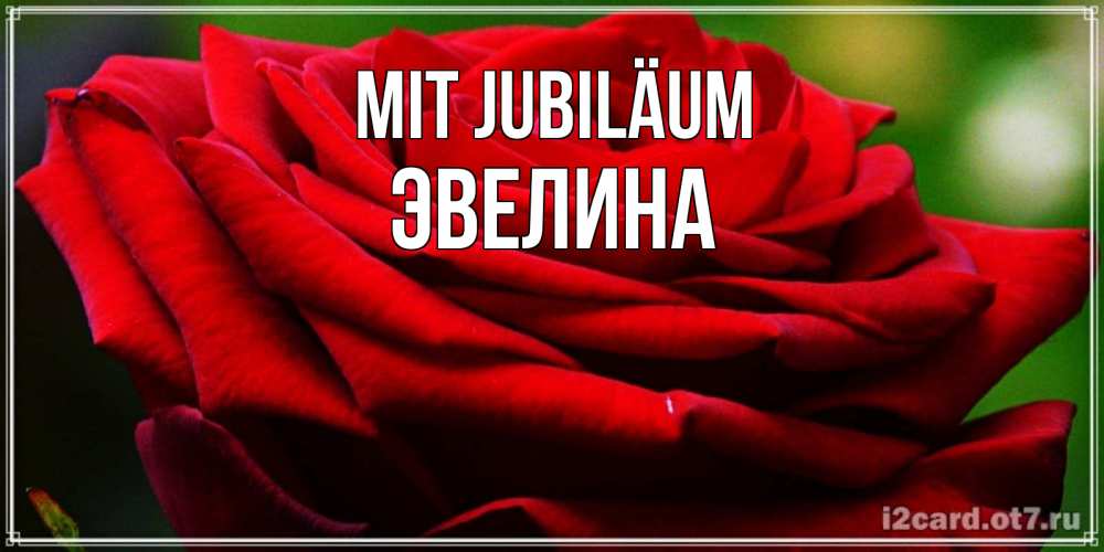 Открытка на каждый день с именем, Эвелина Mit Jubiläum розочка очень красивая Прикольная открытка с пожеланием онлайн скачать бесплатно 