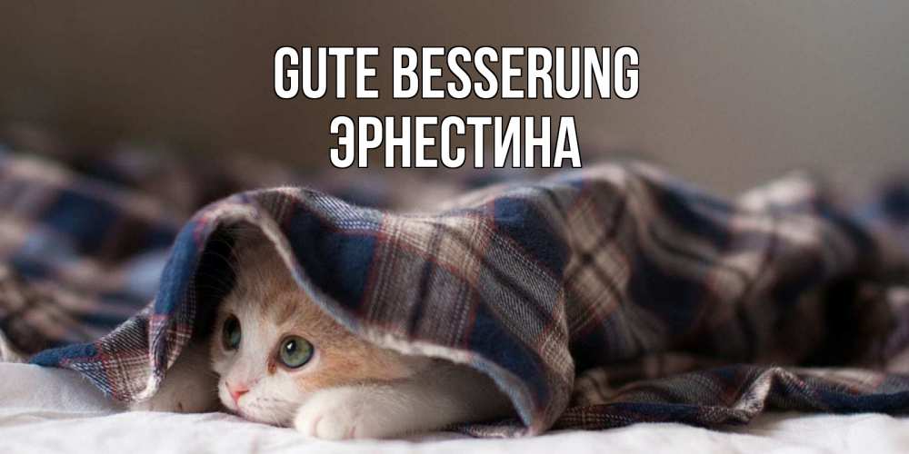 Открытка на каждый день с именем, Эрнестина Gute Besserung не болейте с котиком Прикольная открытка с пожеланием онлайн скачать бесплатно 