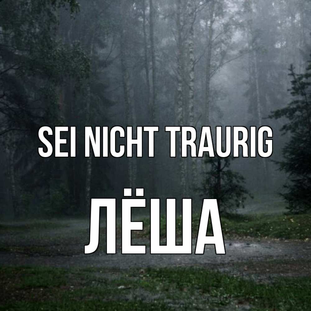 Открытка на каждый день с именем, Лёша Sei nicht traurig осень Прикольная открытка с пожеланием онлайн скачать бесплатно 