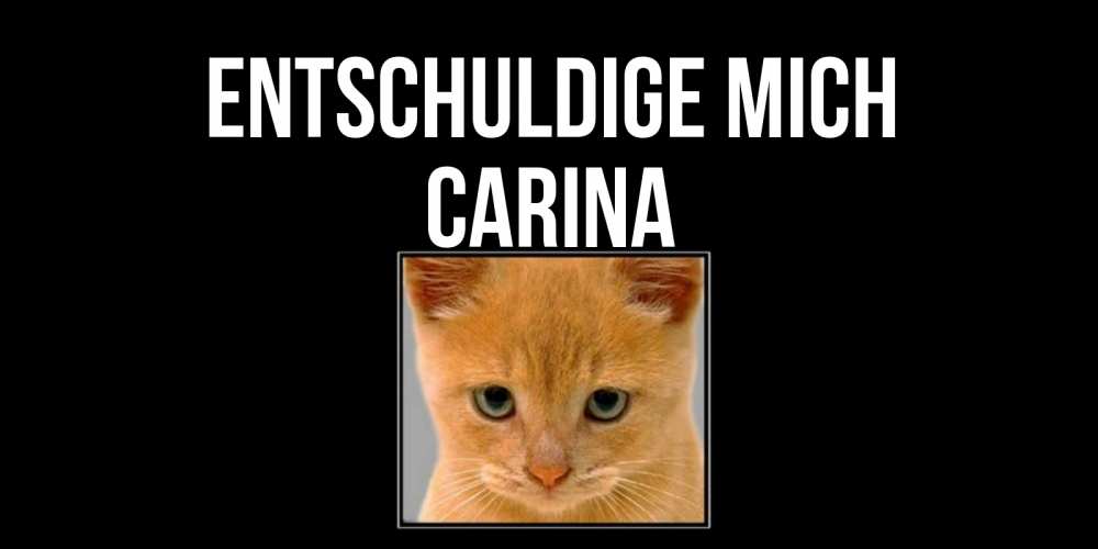 Открытка на каждый день с именем, Carina Entschuldige mich рыжий грустный кот просит прощения Прикольная открытка с пожеланием онлайн скачать бесплатно 