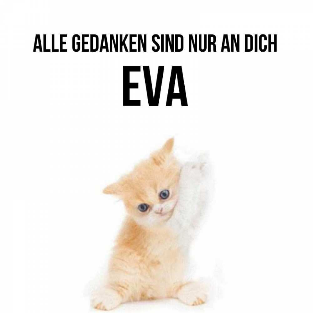 Открытка на каждый день с именем, Eva Alle Gedanken sind nur an dich зверушки и милота Прикольная открытка с пожеланием онлайн скачать бесплатно 