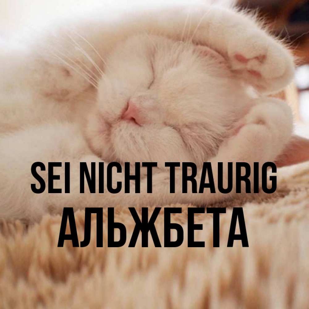 Открытка на каждый день с именем, Альжбета Sei nicht traurig Котенок спит Прикольная открытка с пожеланием онлайн скачать бесплатно 
