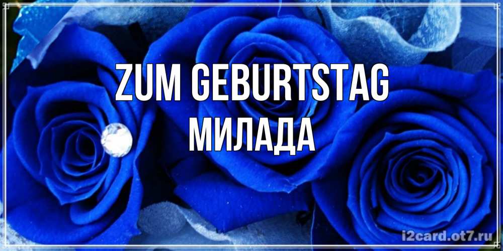 Открытка на каждый день с именем, Милада Zum Geburtstag синие розы в росе Прикольная открытка с пожеланием онлайн скачать бесплатно 
