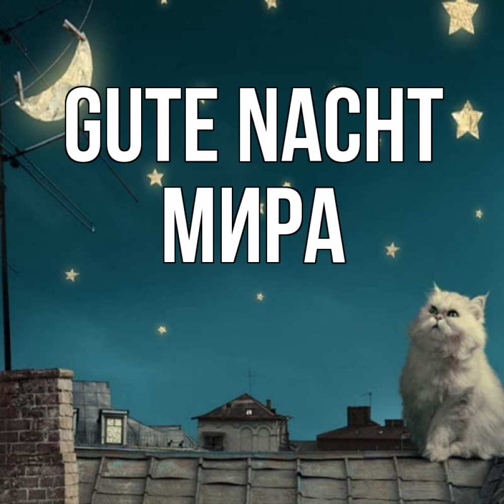 Открытка на каждый день с именем, Мира Gute Nacht белый кот сидит на крыше Прикольная открытка с пожеланием онлайн скачать бесплатно 