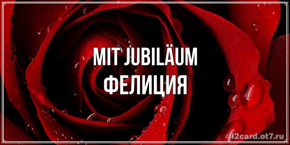 Открытка на каждый день с именем, Фелиция Mit Jubiläum крупная бордовая роза Прикольная открытка с пожеланием онлайн скачать бесплатно 
