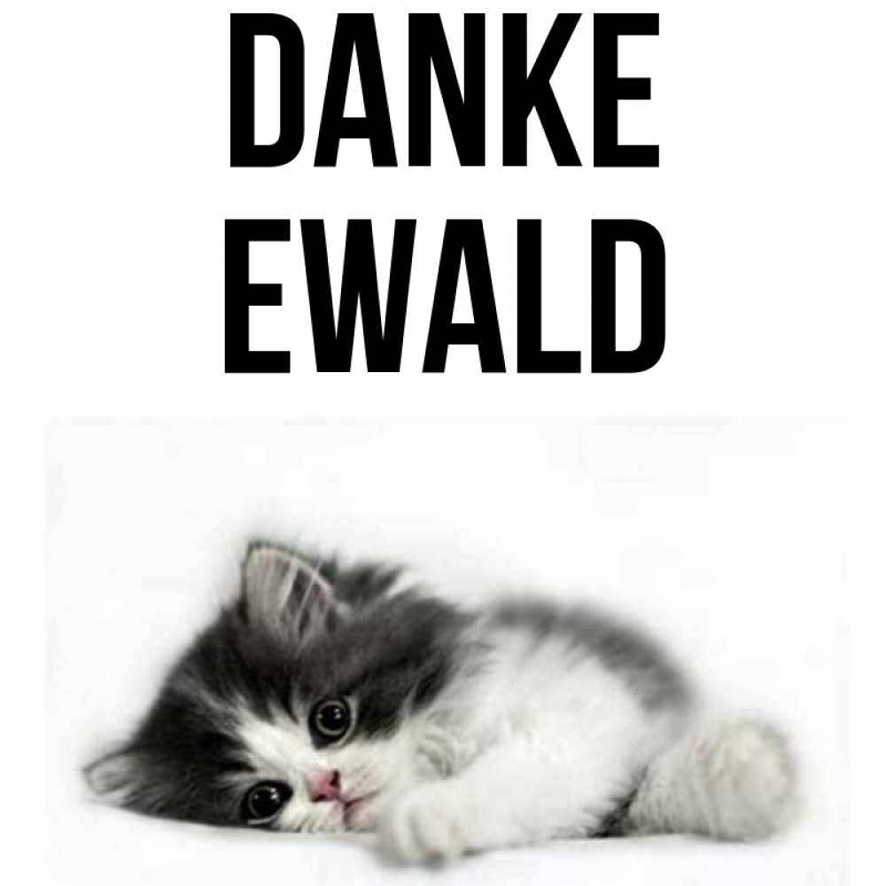 Открытка на каждый день с именем, Ewald Danke черный и белый кот Прикольная открытка с пожеланием онлайн скачать бесплатно 