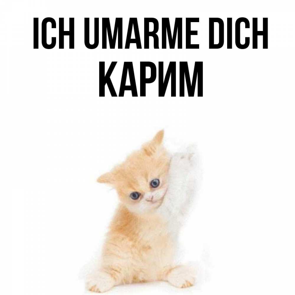 Открытка на каждый день с именем, Карим Ich umarme dich я хочу очень скорее обнимаешек Прикольная открытка с пожеланием онлайн скачать бесплатно 