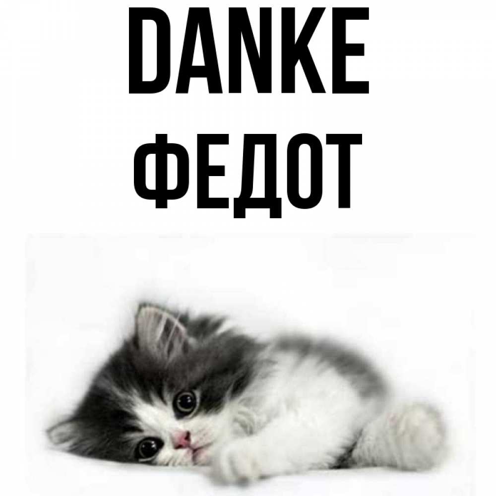 Открытка на каждый день с именем, Федот Danke черный и белый кот Прикольная открытка с пожеланием онлайн скачать бесплатно 