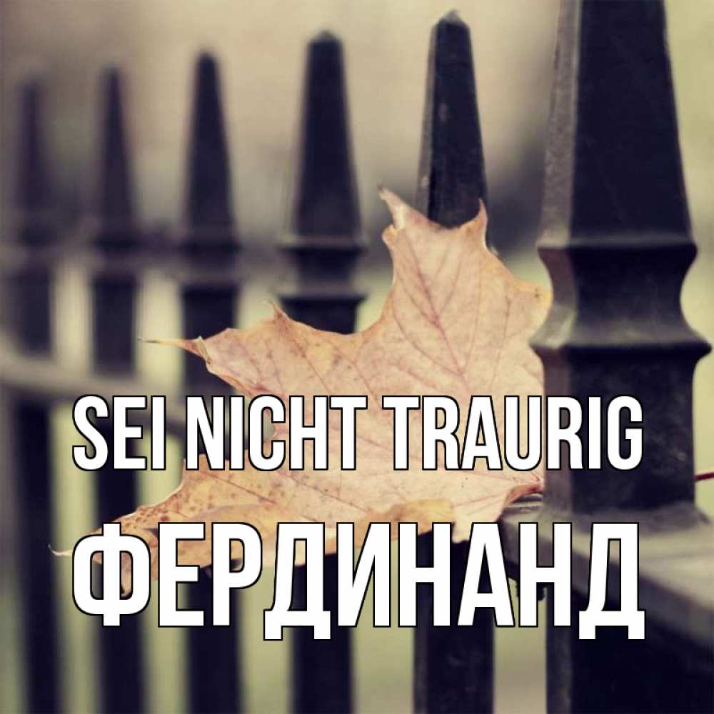 Открытка на каждый день с именем, Фердинанд Sei nicht traurig лист клена Прикольная открытка с пожеланием онлайн скачать бесплатно 