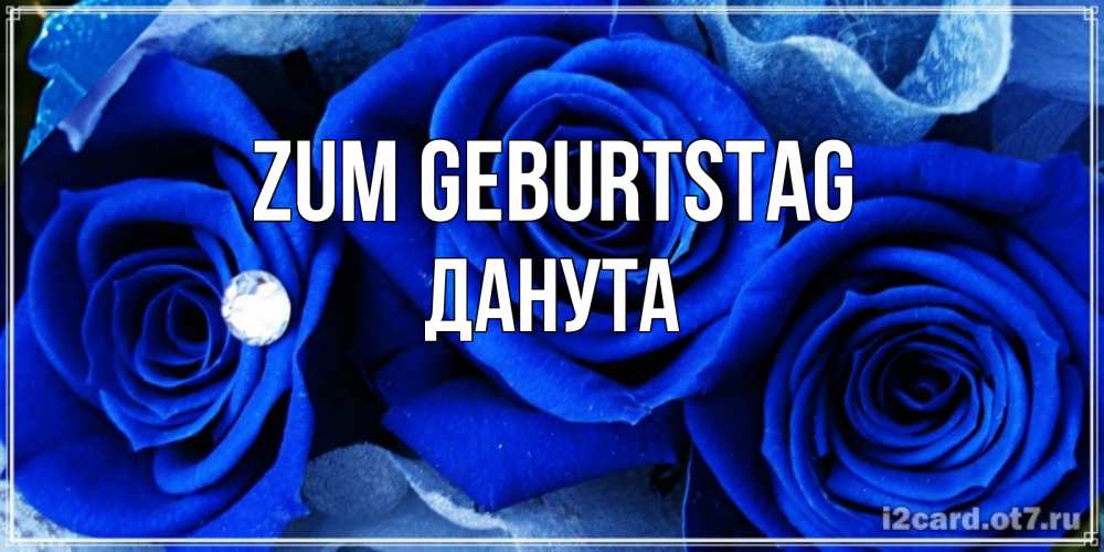 Открытка на каждый день с именем, Данута Zum Geburtstag синие розы в росе Прикольная открытка с пожеланием онлайн скачать бесплатно 