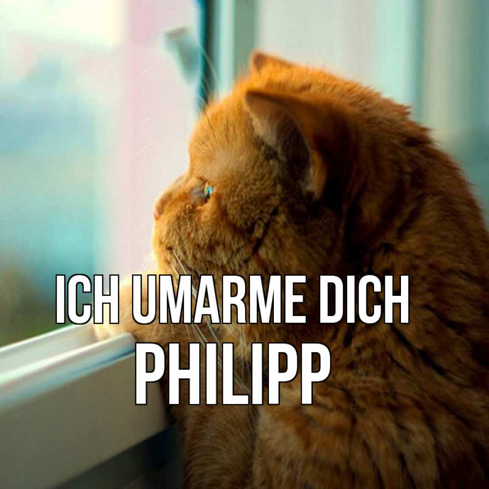 Открытка на каждый день с именем, Philipp Ich umarme dich большой огромный рыжий котяра Прикольная открытка с пожеланием онлайн скачать бесплатно 