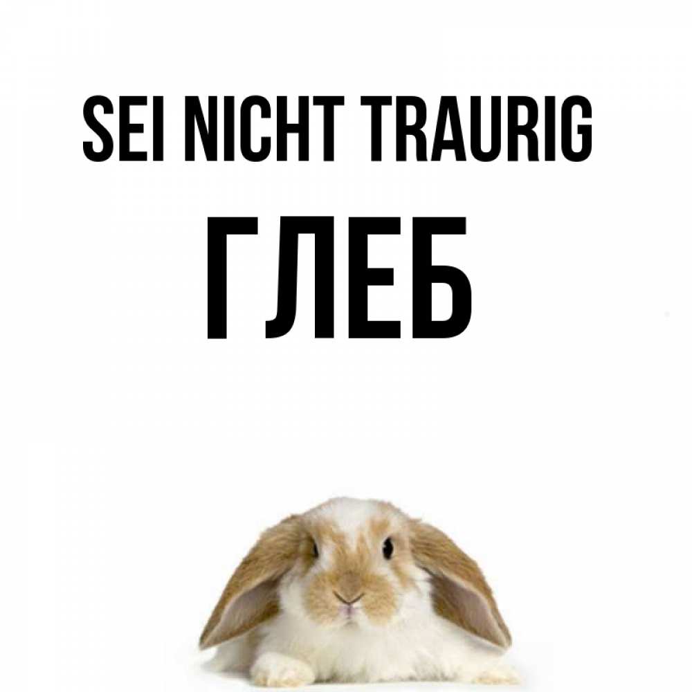 Открытка на каждый день с именем, Глеб Sei nicht traurig коричнево белый заяц с большими ушками Прикольная открытка с пожеланием онлайн скачать бесплатно 