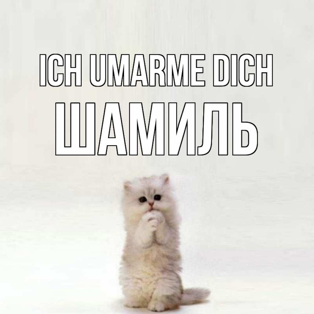 Открытка на каждый день с именем, Шамиль Ich umarme dich открытки с креативными подписями Прикольная открытка с пожеланием онлайн скачать бесплатно 