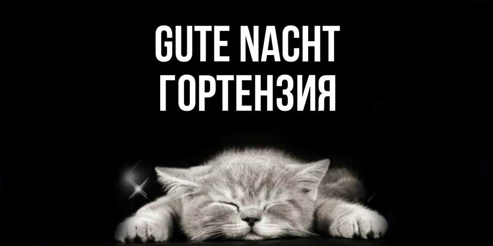 Открытка на каждый день с именем, Гортензия Gute Nacht спящий котик Прикольная открытка с пожеланием онлайн скачать бесплатно 