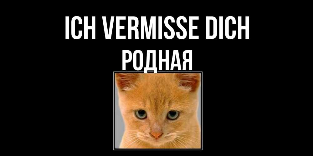 Открытка на каждый день с именем, Родная Ich vermisse dich открытки рыжий котенок скучает по тебе Прикольная открытка с пожеланием онлайн скачать бесплатно 