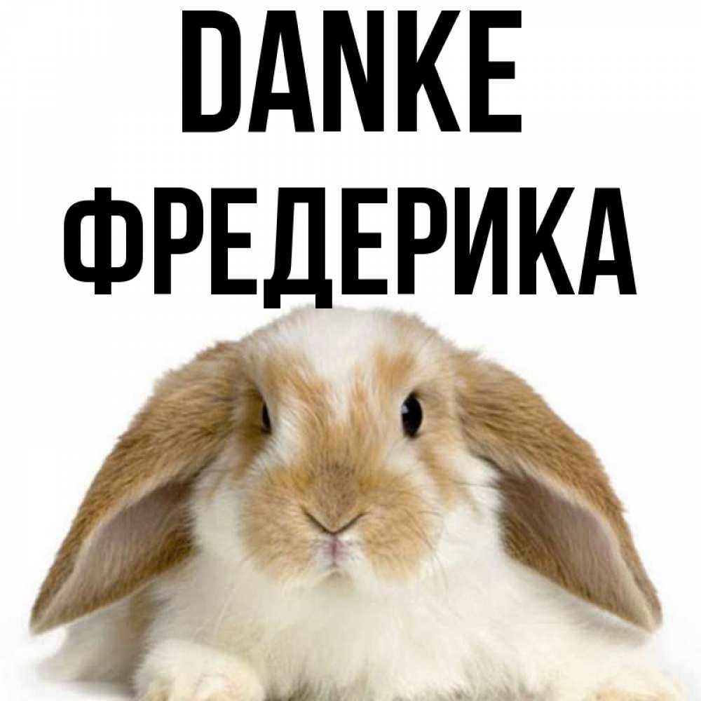 Открытка на каждый день с именем, Фредерика Danke коричнево белый заяц Прикольная открытка с пожеланием онлайн скачать бесплатно 