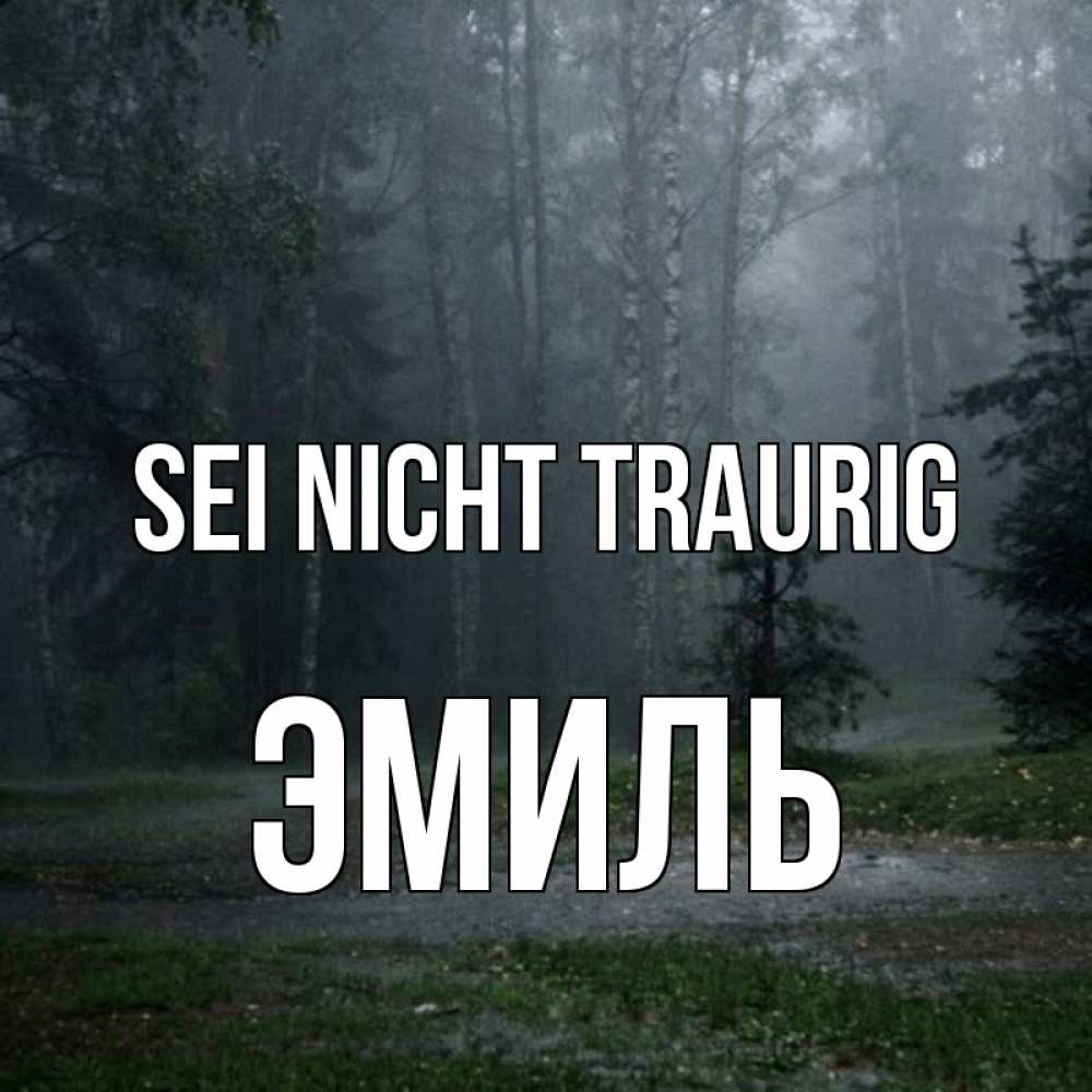 Открытка на каждый день с именем, Эмиль Sei nicht traurig осень Прикольная открытка с пожеланием онлайн скачать бесплатно 