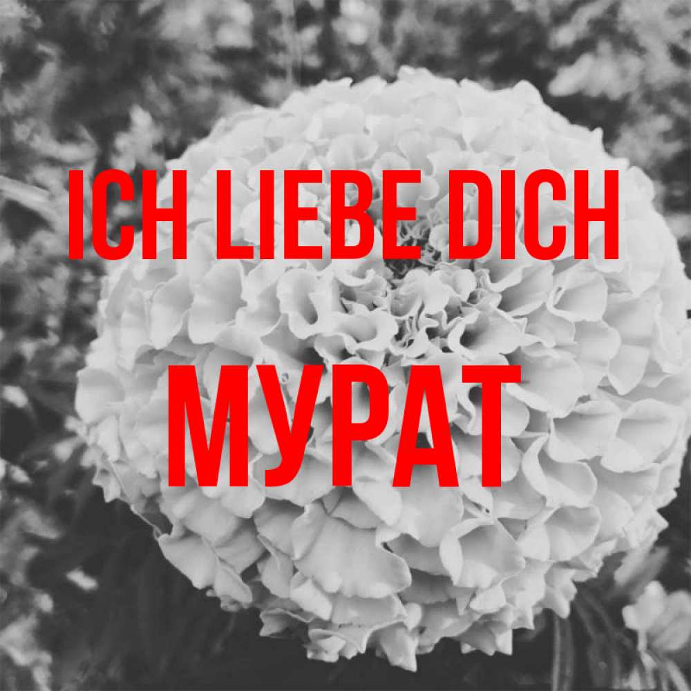 Открытка на каждый день с именем, Мурат Ich liebe dich подпись Прикольная открытка с пожеланием онлайн скачать бесплатно 