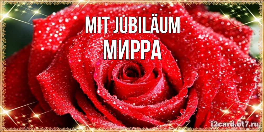 Открытка на каждый день с именем, Мирра Mit Jubiläum роса и роза. открытка с красивой розой Прикольная открытка с пожеланием онлайн скачать бесплатно 