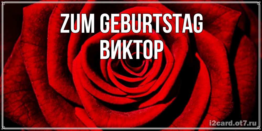Открытка на каждый день с именем, Виктор Zum Geburtstag алая роза Прикольная открытка с пожеланием онлайн скачать бесплатно 