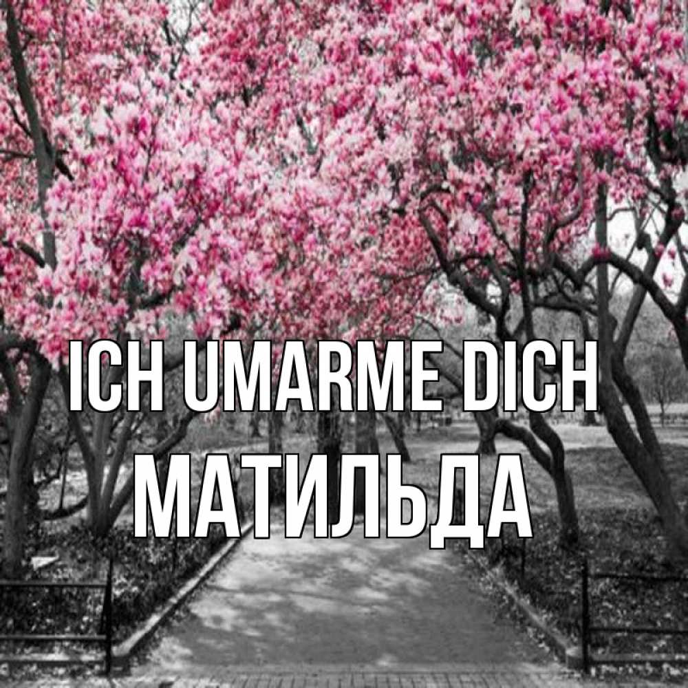 Открытка на каждый день с именем, Матильда Ich umarme dich обработанное фото Прикольная открытка с пожеланием онлайн скачать бесплатно 