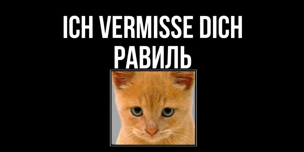 Открытка на каждый день с именем, Равиль Ich vermisse dich открытки рыжий котенок скучает по тебе Прикольная открытка с пожеланием онлайн скачать бесплатно 