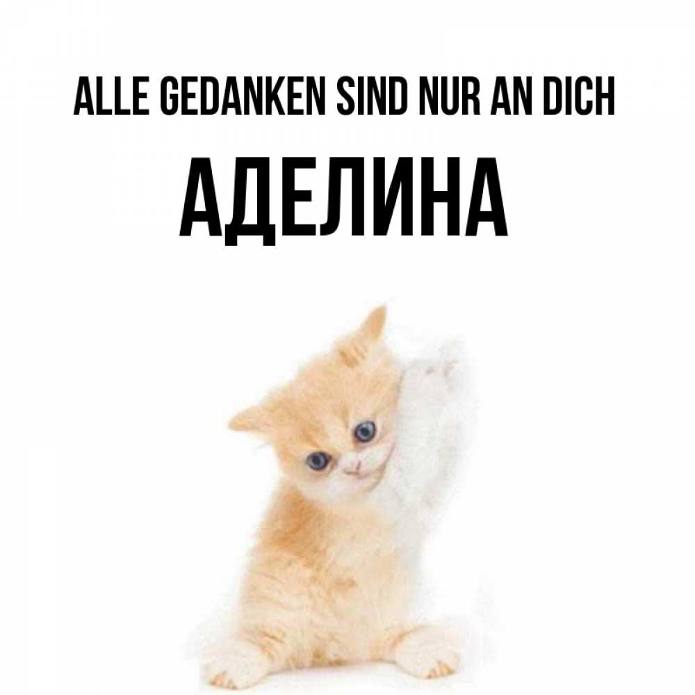 Открытка на каждый день с именем, Аделина Alle Gedanken sind nur an dich зверушки и милота Прикольная открытка с пожеланием онлайн скачать бесплатно 