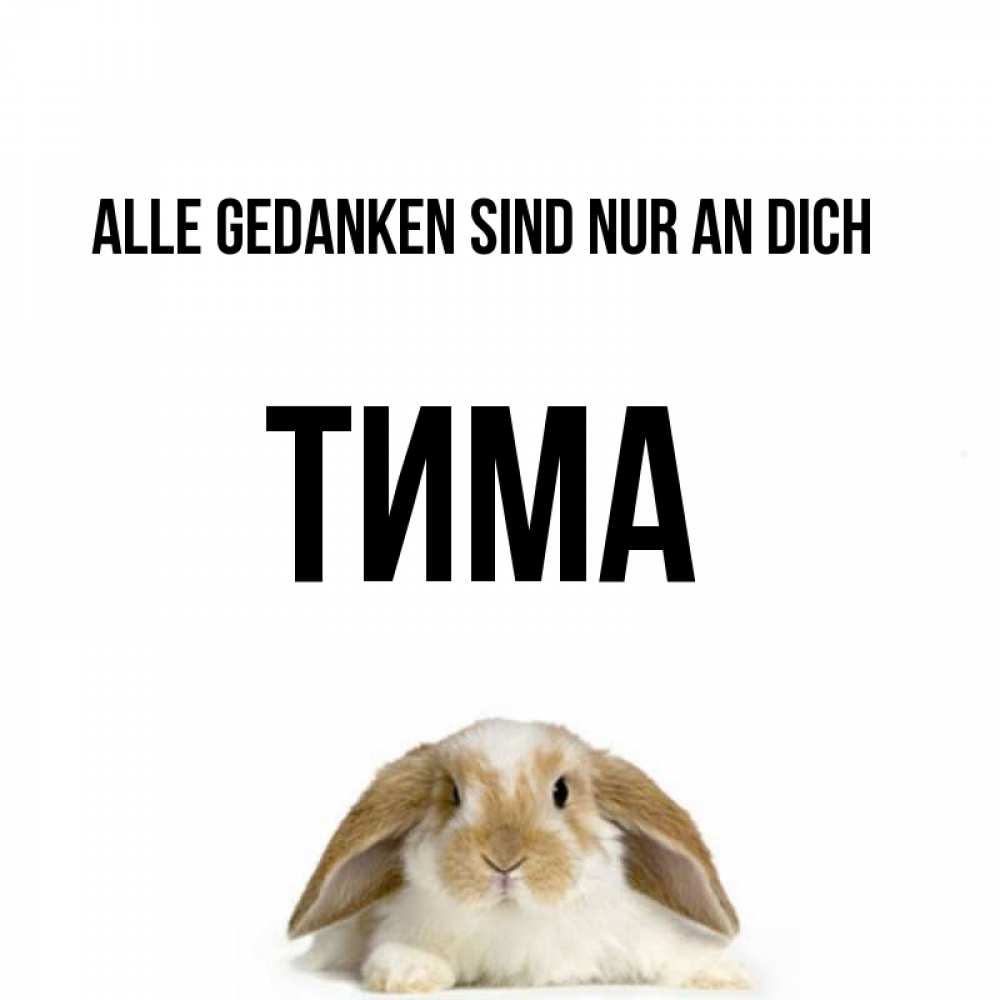 Открытка на каждый день с именем, Тима Alle Gedanken sind nur an dich подписать своими руками онлайн Прикольная открытка с пожеланием онлайн скачать бесплатно 
