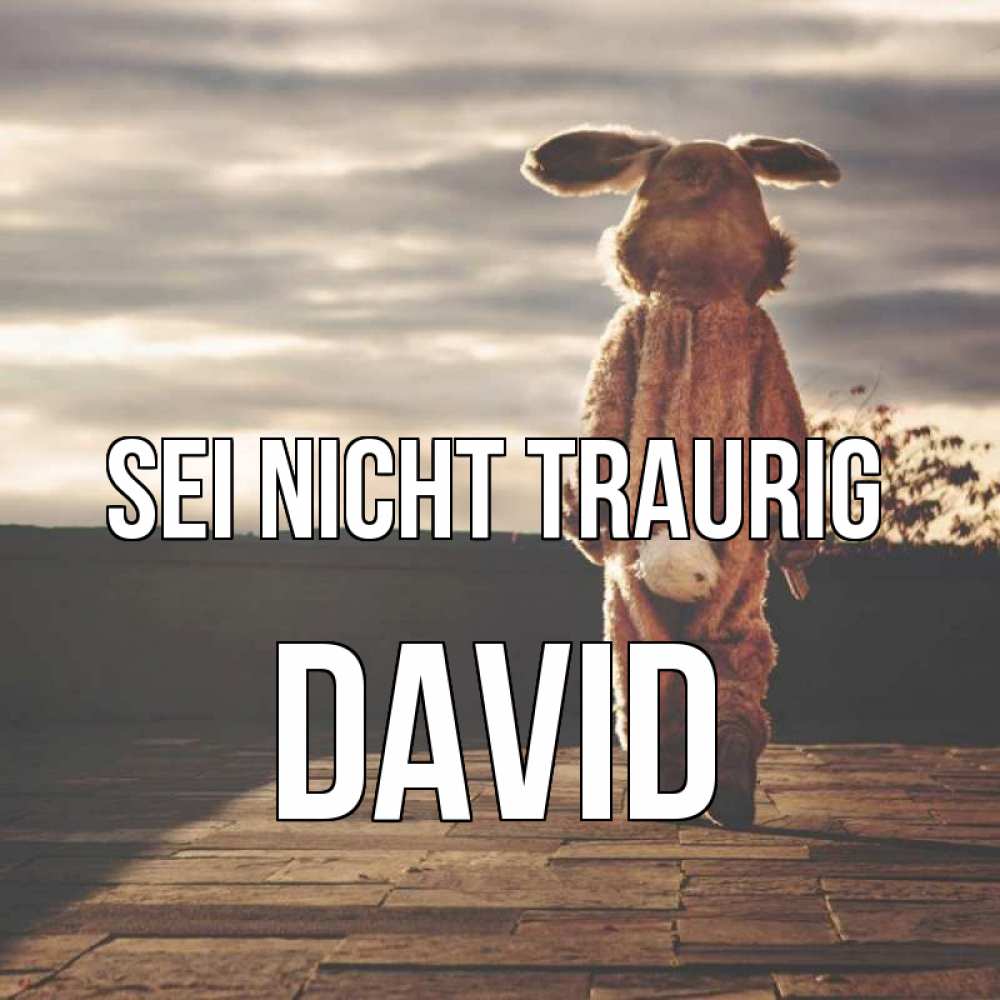Открытка на каждый день с именем, David Sei nicht traurig со спины Прикольная открытка с пожеланием онлайн скачать бесплатно 