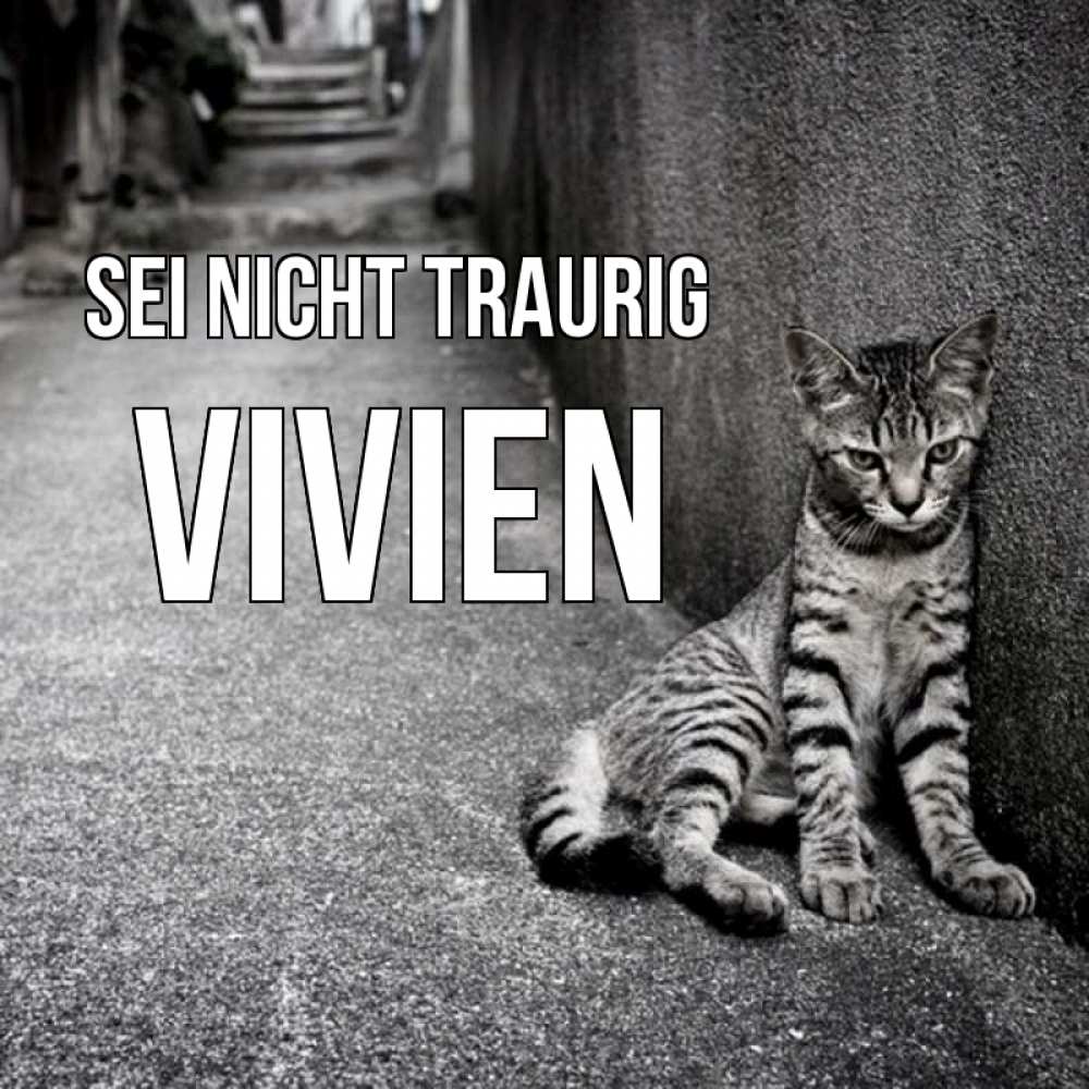 Открытка на каждый день с именем, Vivien Sei nicht traurig скучающий котик Прикольная открытка с пожеланием онлайн скачать бесплатно 